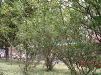 工程和養(yǎng)護(hù)