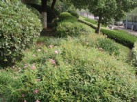 工程和養(yǎng)護(hù)