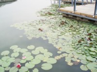 工程和養(yǎng)護(hù)