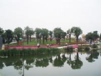 工程和養(yǎng)護(hù)