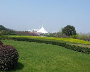 綠地養(yǎng)護(hù)