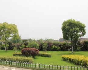 綠地養(yǎng)護(hù)