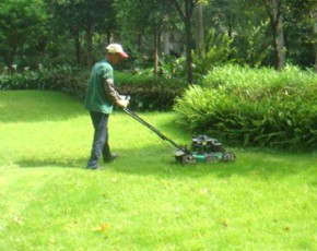 綠地養(yǎng)護(hù)