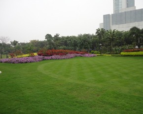 綠地養(yǎng)護(hù)