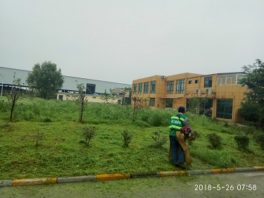 北京利爾公司廠內(nèi)綠化養(yǎng)護