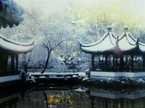 馬鞍山綠化工程