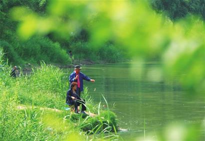 馬鞍山綠化工程